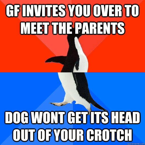 GF invites you over to meet the parents Dog wont get its head out of your crotch  Socially Awesome Awkward Penguin