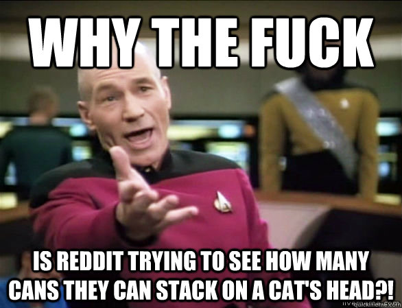 Why The fuck Is reddit trying to see how many cans they can stack on a cat's head?!  Annoyed Picard HD