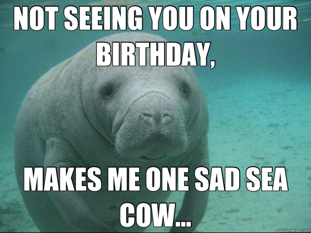 NOT SEEING YOU ON YOUR BIRTHDAY, MAKES ME ONE SAD SEA COW...  sea cow