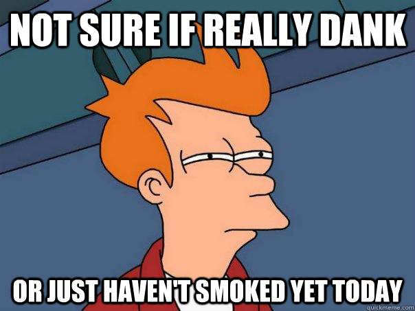 Not sure if really dank Or just haven't smoked yet today - Not sure if really dank Or just haven't smoked yet today  Futurama Fry