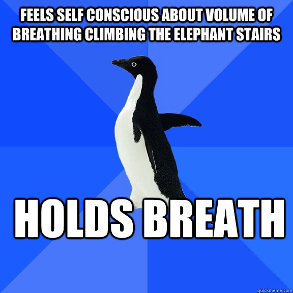 Feels self conscious about volume of breathing climbing the elephant stairs  Holds Breath    Socially Awkward Penguin