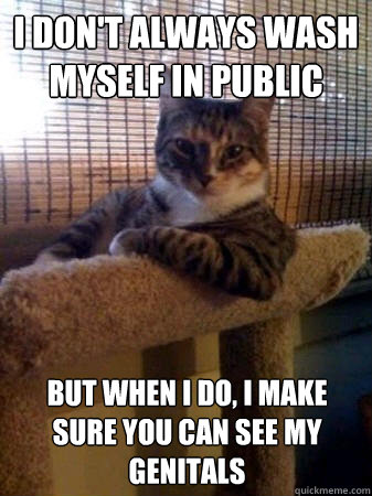 i don't always wash myself in public but when i do, i make sure you can see my genitals  The Most Interesting Cat in the World