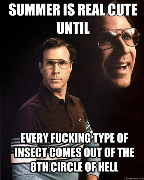 summer is real cute until every fucking type of insect comes out of the 8th circle of hell  will ferrell
