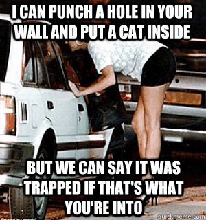 I can punch a hole in your wall and put a cat inside But we can say it was trapped if that's what you're into  Karma Whore
