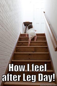 After leg day -  HOW I FEEL  AFTER LEG DAY! Misc