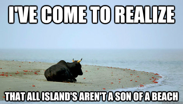 I've come to realize That all island's aren't a son of a beach - I've come to realize That all island's aren't a son of a beach  Misunderstood Bull