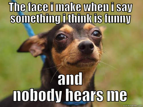 THE FACE I MAKE WHEN I SAY SOMETHING I THINK IS FUNNY AND NOBODY HEARS ME Misc