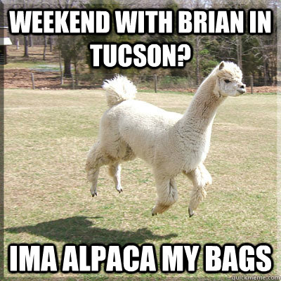 Weekend with Brian In Tucson? Ima Alpaca my bags - Weekend with Brian In Tucson? Ima Alpaca my bags  Alpaca bowl