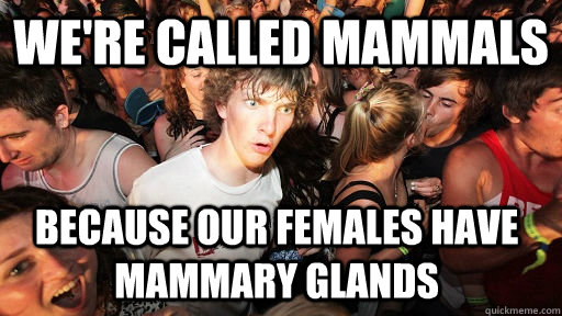 We're called mammals Because our females have mammary glands  Sudden Clarity Clarence