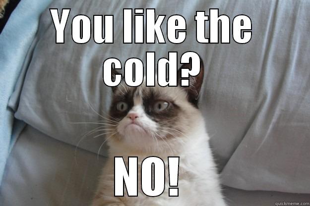 YOU LIKE THE COLD? NO!  Grumpy Cat
