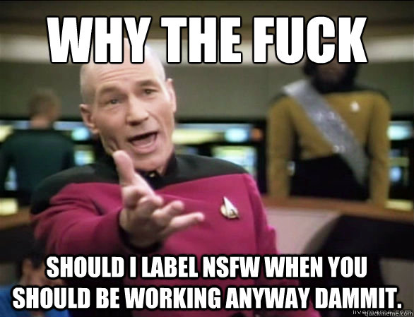 Why the fuck Should I label NSFW when you should be working anyway dammit.  Annoyed Picard HD