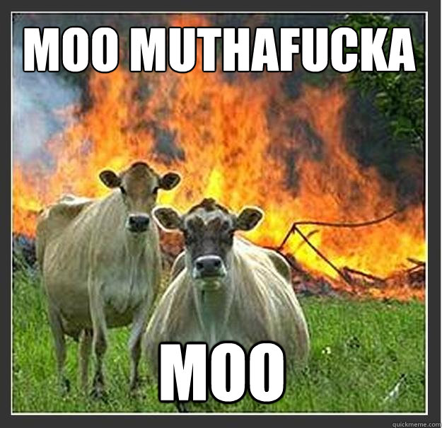 Moo Muthafucka MOO  Evil cows