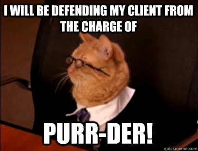 I will be defending my client from the charge of PURR-DER!  