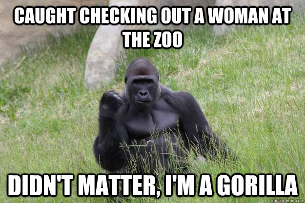Caught checking out a woman at the zoo Didn't matter, I'm a gorilla  Success Gorilla