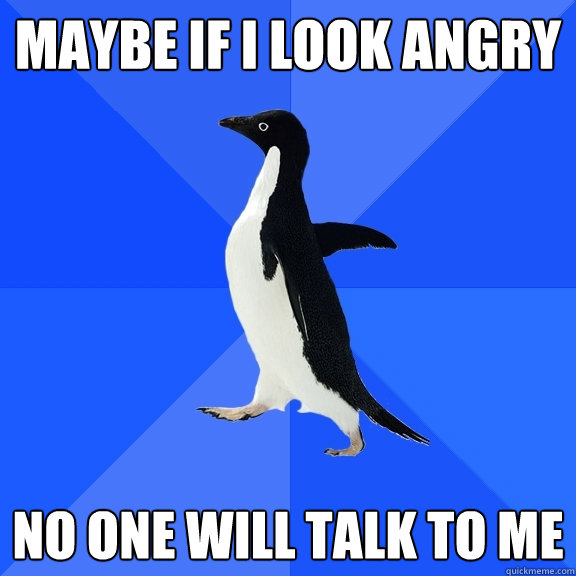 Maybe if i look angry no one will talk to me  Socially Awkward Penguin