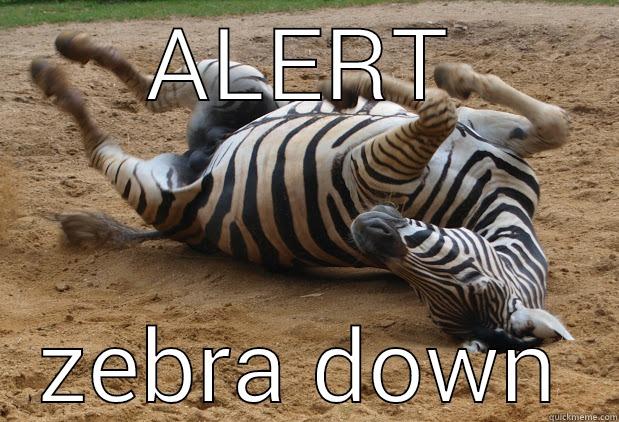 ALERT ZEBRA DOWN Misc