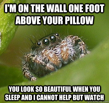 I'm on the wall one foot above your pillow You look so beautiful when you sleep and I cannot help but watch - I'm on the wall one foot above your pillow You look so beautiful when you sleep and I cannot help but watch  Misunderstood Spider