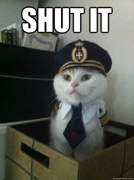 Shut it   Captain kitteh
