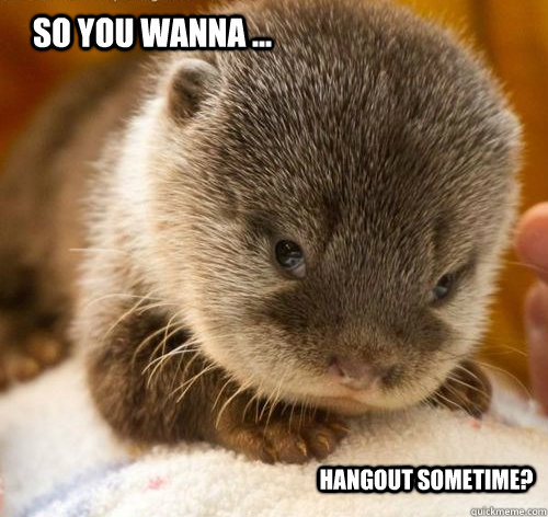 so you wanna ... hangout sometime? - so you wanna ... hangout sometime?  Seductive Otter