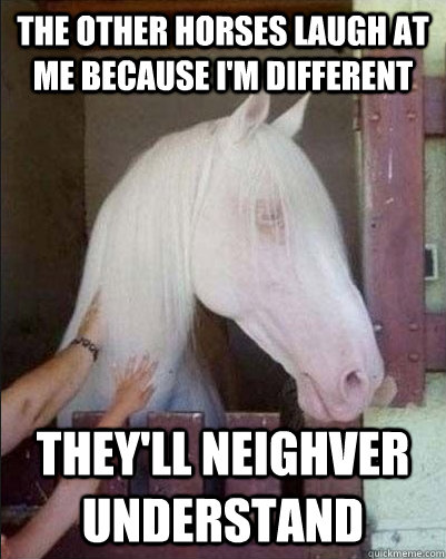 the other horses laugh at me because I'm different they'll neighver understand - the other horses laugh at me because I'm different they'll neighver understand  Albino Emo Horse