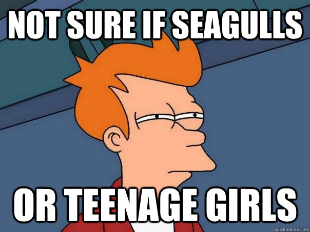 Not sure if seagulls or teenage girls  Futurama Fry