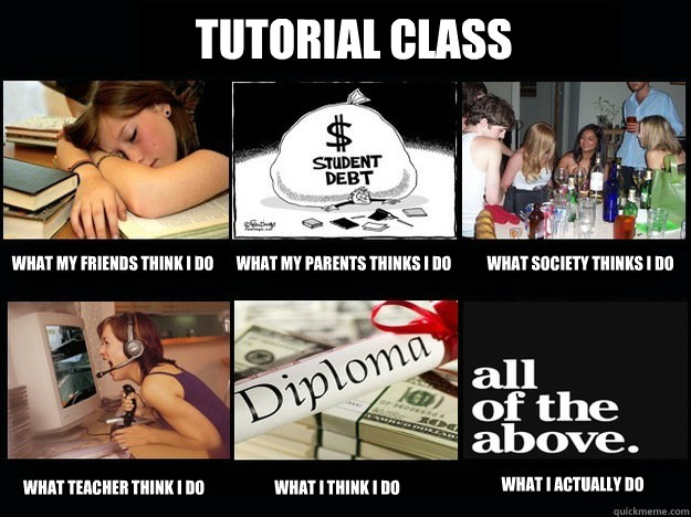 Tutorial Class What my friends think I do What my parents thinks I do What society thinks I do what teacher think I do what I think I do What I actually do  