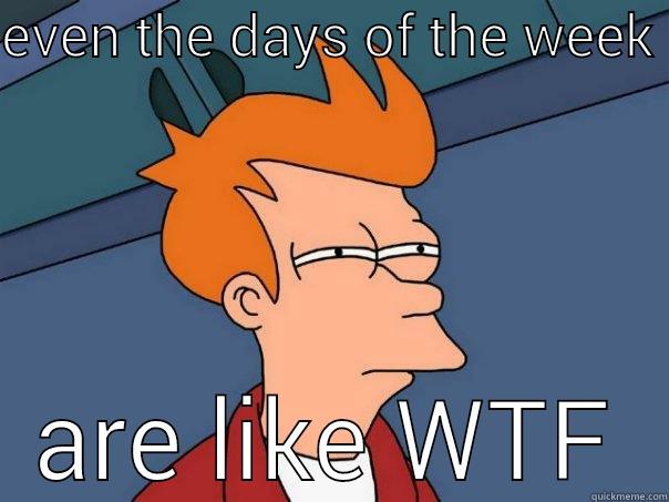 EVEN THE DAYS OF THE WEEK  ARE LIKE WTF Futurama Fry