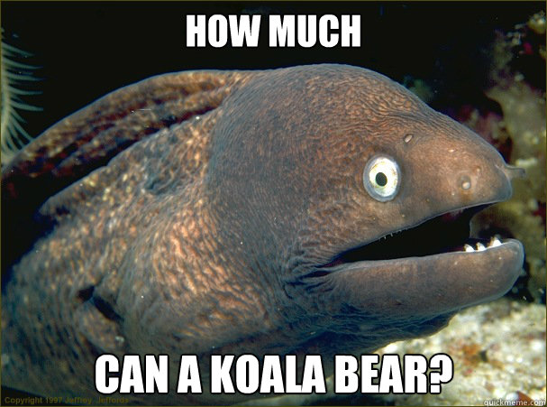 How much  can a Koala Bear? - How much  can a Koala Bear?  Bad Joke Eel