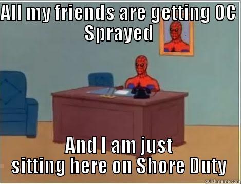 All my friends... - ALL MY FRIENDS ARE GETTING OC SPRAYED AND I AM JUST SITTING HERE ON SHORE DUTY Spiderman Desk
