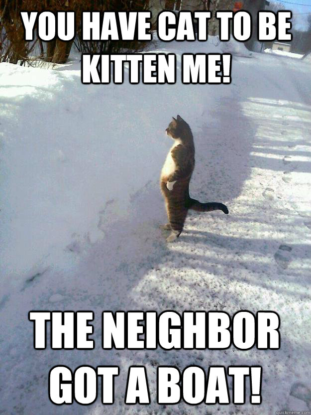 You have cat to be kitten me! The neighbor got a boat!  CatSnowbank
