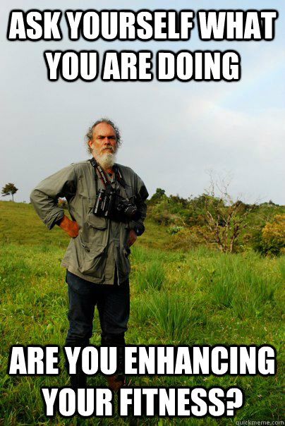 ask yourself what you are doing are you enhancing your fitness? - ask yourself what you are doing are you enhancing your fitness?  Frank Joyce Tropical Biologist