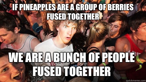 If pineapples are a group of berries fused together  We are a bunch of people fused together  Sudden Clarity Clarence