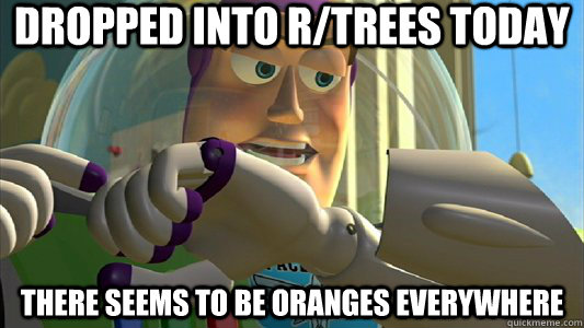 Dropped into r/trees today There seems to be oranges everywhere  Buzz Lightyear