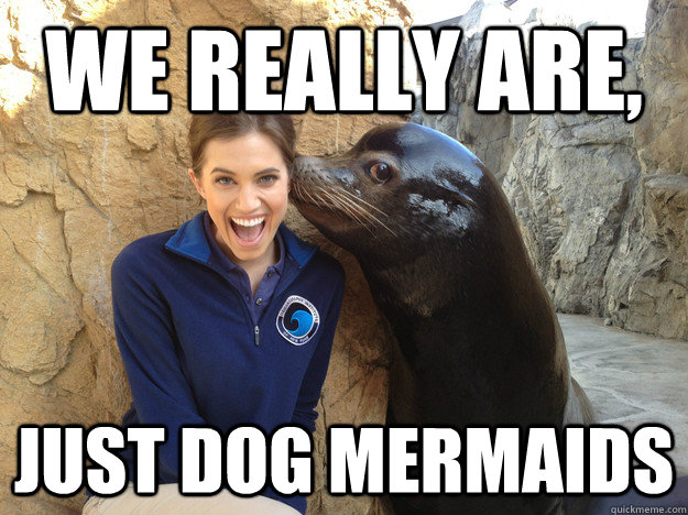 we really are, just dog mermaids  Crazy Secret