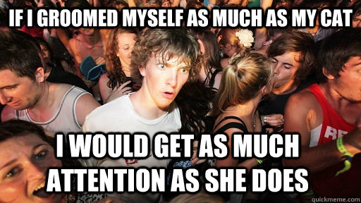 If I groomed myself as much as my cat I would get as much attention as she does  Sudden Clarity Clarence