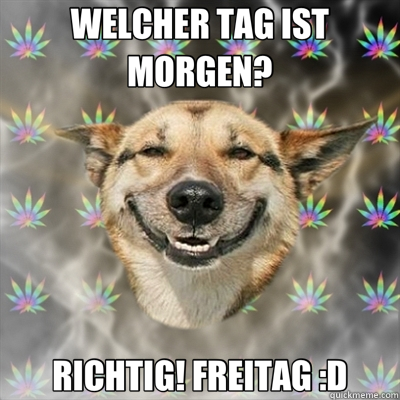 WELCHER TAG IST MORGEN? RICHTIG! FREITAG :D  Stoner Dog