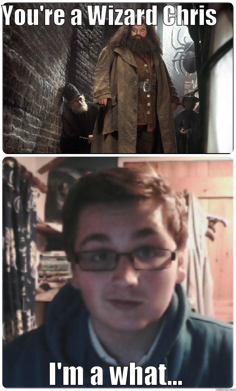YOU'RE A WIZARD CHRIS     I'M A WHAT... Misc