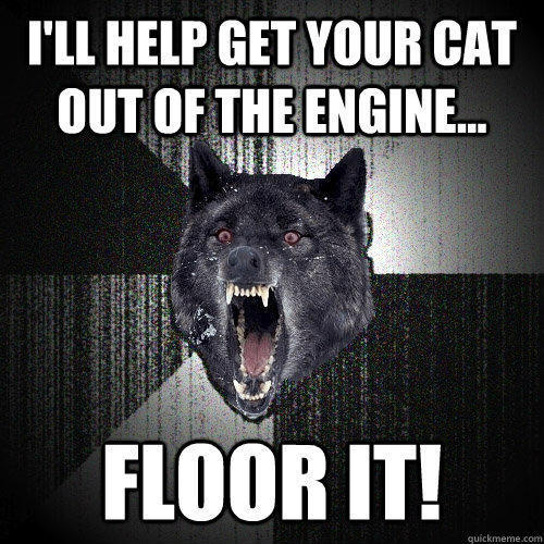 I'll help get your cat out of the engine... Floor it!  Insanity Wolf