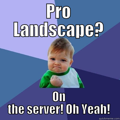 Not a Dweeb! - PRO LANDSCAPE? ON THE SERVER! OH YEAH! Success Kid