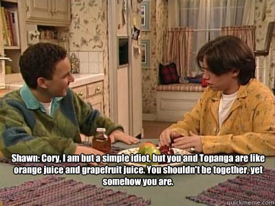 Shawn: Cory, I am but a simple idiot, but you and Topanga are like orange juice and grapefruit juice. You shouldn't be together, yet somehow you are.  Boy Meets World