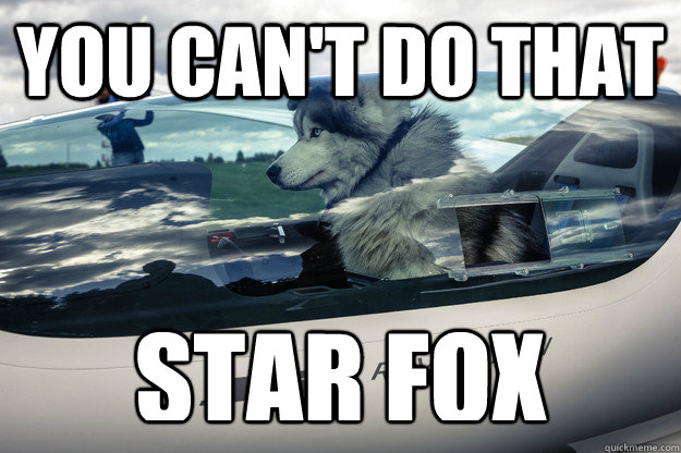 You can't do that Star fox - You can't do that Star fox  starwolf success