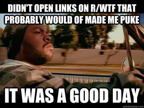 Didn't open links on r/WTF that probably would of made me puke IT WAS A GOOD DAY  ice cube good day