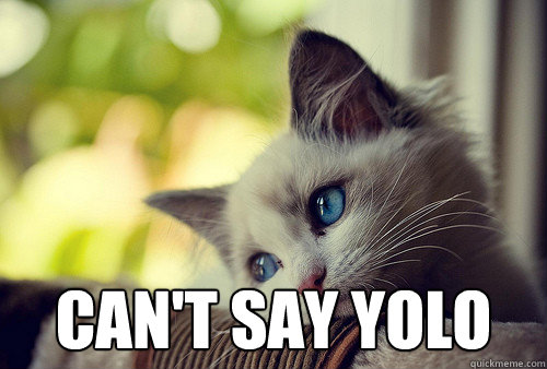  Can't say YOLO  First World Problems Cat