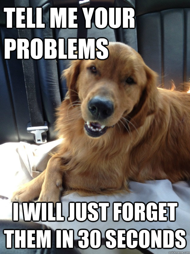 Tell me your problems I will just forget them in 30 seconds - Tell me your problems I will just forget them in 30 seconds  Sophisticated Dog