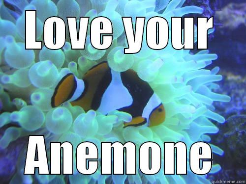 He said, - LOVE YOUR ANEMONE Misc
