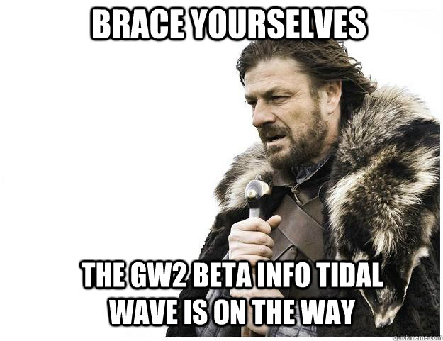 Brace yourselves the GW2 Beta info tidal wave is on the way  Imminent Ned