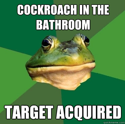 cockroach in the bathroom target acquired  Foul Bachelor Frog