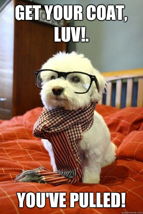 Get your coat, luv!. You've pulled!  Hipster Dog