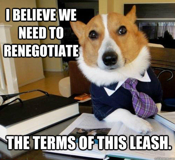 I believe we need to renegotiate the terms of this leash. - I believe we need to renegotiate the terms of this leash.  Lawyer Dog