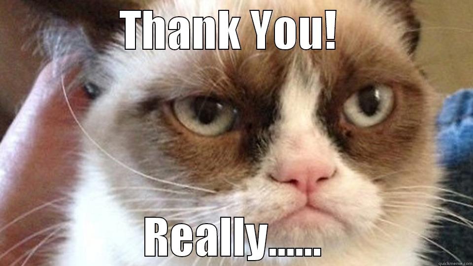 Grumpy Cat Thank you - THANK YOU!  REALLY...... Misc